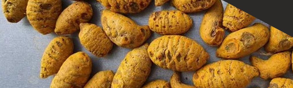 Turmeric Bulbs