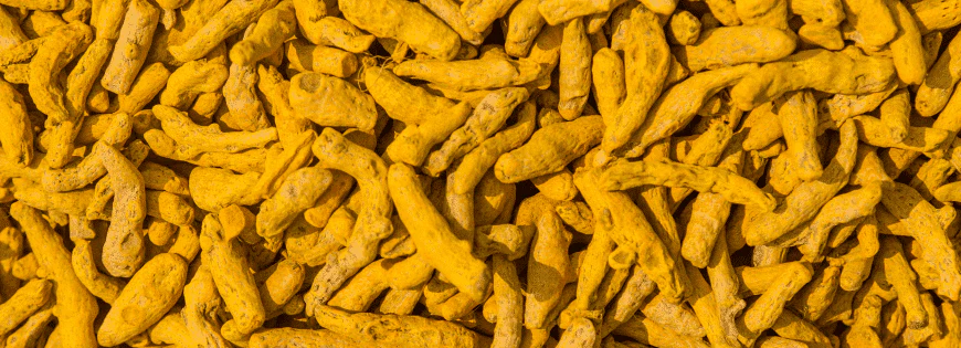 Turmeric Finger